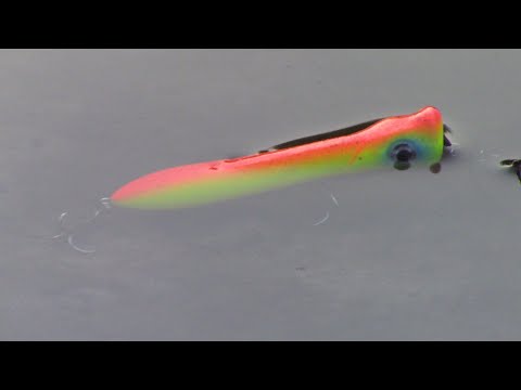 Видео: Ловля щуки в сентябре на поверхностные приманки/Щука на поппер и волкер