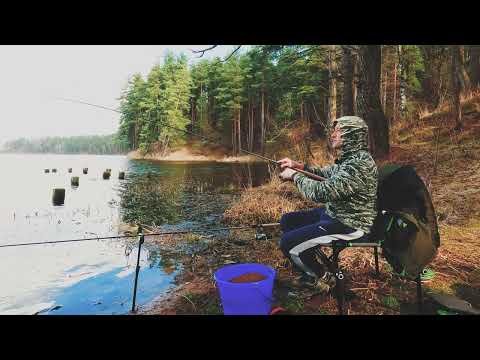 Видео: Рыбалка на фидер| Озерный тест-драйв Shimano Aero X7 3.6\90 |  Забрасываем и перегружаем! Что может?