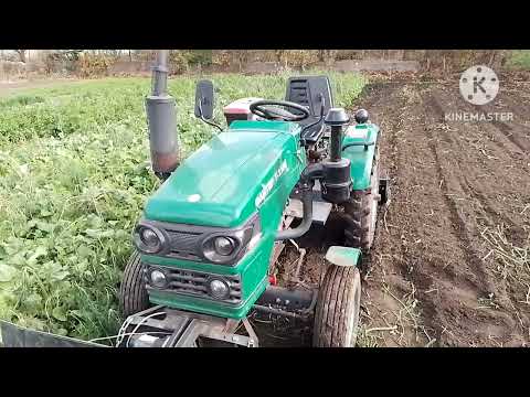 Видео: Минитрактор файтер т220 отпало заднее колесо 🤦‍♂️ Убираю ботву начинаю культивировать. 