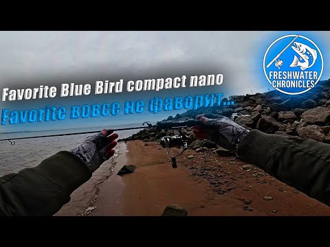 Видео: Обзор, который пошел не по плану... Favorite Blue Bird Compact nano 0.2-1.5 #мормышинг #наноджиг