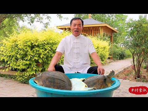 Видео: 15 мягкопанцирных ЧЕРЕПАХОВ за 40 долларов! Удивительное онемелое и острое угощение!