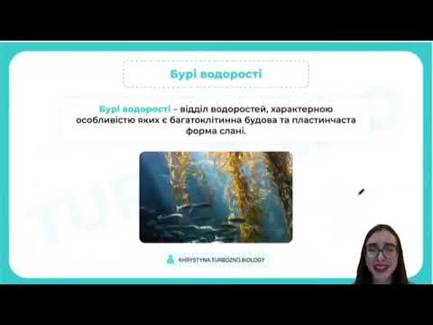 Видео: НМТ 2025 Водорості