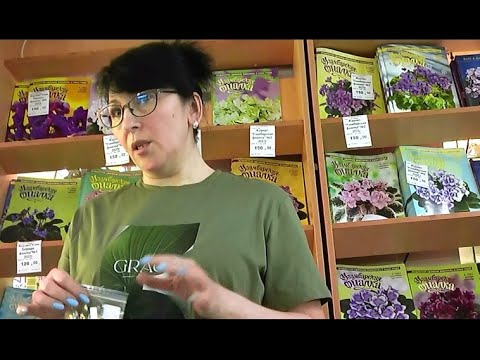 Видео: ДФ.Три способа укоренения листовых черенков сенполий. О.Агафонова.