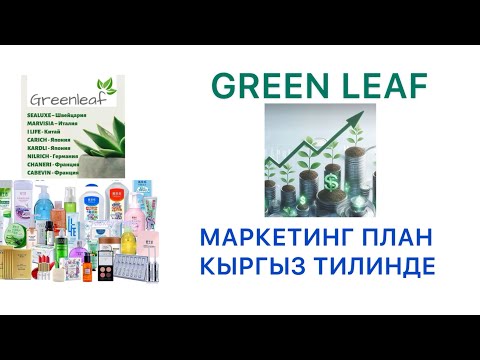 Видео: Маркетинг план Greenleaf кыргызча #гринлиф 89260631989