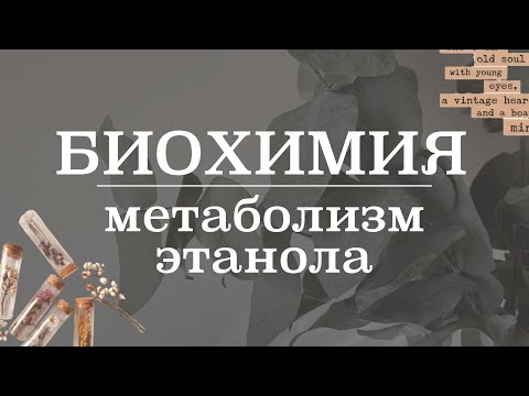 Видео: Пути метаболизма этанола в печени | Биохимия