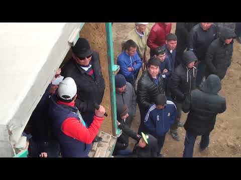 Видео: Бекзат Саттархановты еске алу ас Кокпар тойы Часть - 1