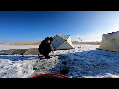 Видео: КАРАСИ и ВОБЛА как с ПУЛЕМЁТА . ЗИМНЯЯ РЫБАЛКА 08.01. 2025 г с НОЧЁВКОЙ .