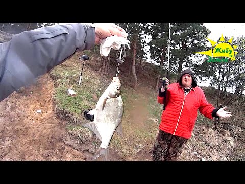 Видео: ФИДЕР против ДОНОК! Ловят обе снасти. По размеру только рыба сильно отличается.