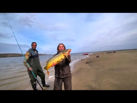 Видео: БЕШЕНЫЙ КЛЁВ САЗАНА НА ОДНУ УДОЧКУ! МУЖИКИ В ШОКЕ! РЫБАЛКА С НОЧЕВКОЙ 