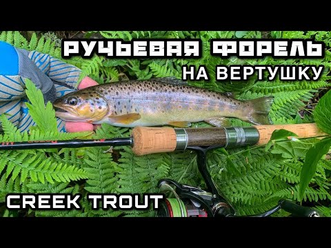 Видео: Как поймать Форель на Блесну ? РУЧЬЕВАЯ ФОРЕЛЬ на Вертушку УЛЬТРАЛАЙТ Рыбалка на Спиннинг на Ручье