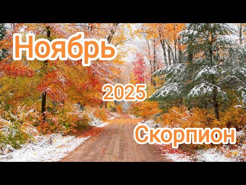 Видео: СКОРПИОН 🦂 НОЯБРЬ 2025🍁 Тароскоп 🍁