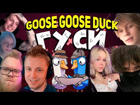 Видео: СТИНТ GOOSE GOOSE DUCK | drakeoffc, mazellovvv, t2x2, morphe_ya, rostikfacekid, iceicell, morphilina