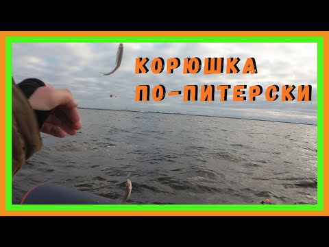 Видео: Корюшка на Финском заливе с лодки. Координаты, где спускать лодку.