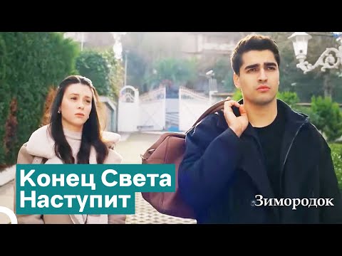 Видео: Ферит Пришел В Особняк С Пелин | Зимородок