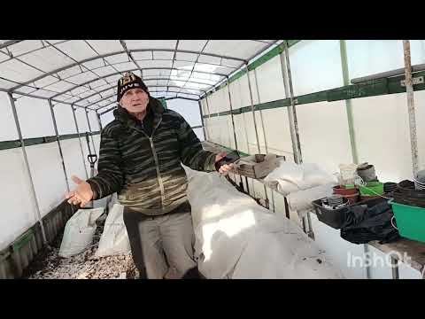 Видео: Как проще и дешевле сделать себе теплицу.