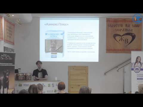 Видео: «Современные препараты» Коняев С. В. в ВЦ ЗООВЕТ