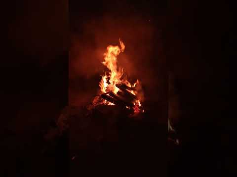 Видео: Ночной костёр #nature #fire #forest #костёр #ночь #лес #рыбалка #night