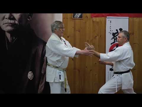 Видео: Основатель Фудокан Илия Йорга на 44-ой сессии НАБ.