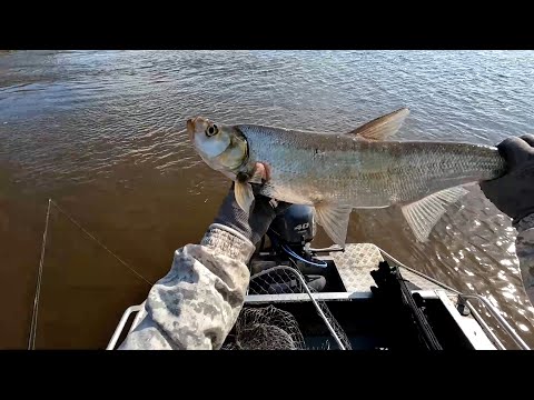 Видео: Осенний жор он такой!