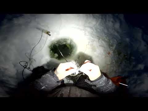 Видео: Рыбалка у чёрной дыры. Ловля налима. Серия шестьдесят четвёртая.