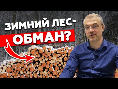 Видео: Почему лучше строить дом зимой? / Строительство из зимнего леса