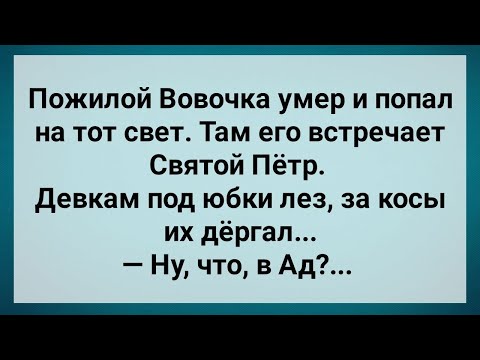 Видео: Вовочка Попал в на Тот Свет! Сборник Свежих Анекдотов! Юмор!.