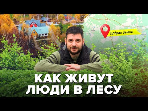 Видео: Как живут люди в лесу в Экопоселении | Добрая Земля - Сортировочная