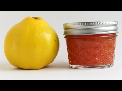 Видео: Айвовое варенье (и немного о выращивании айвы)