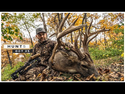 Видео: 195-дюймовый гигант с откидными зубьями в 11 ярдах от старой отцовской стойки