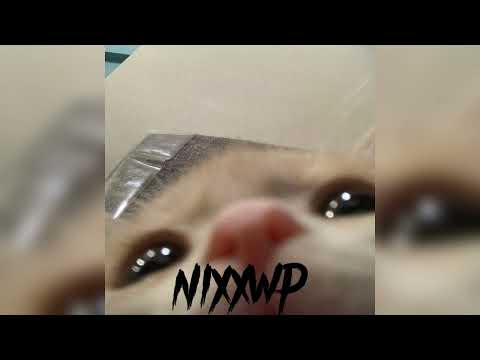 Видео: Рандомный плейлист ускоренных песен | Часть 6