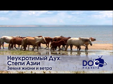 Видео: Неукротимый Дух. Степи Азии - Фильм 1.Земля жизни и ветра - Документальный фильм