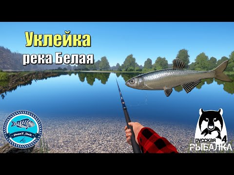 Видео: Уклейка на реке Белая. Отличный клёв - Русская Рыбалка 4