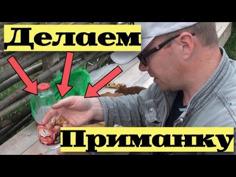 Видео: ГОТОВЛЮ ПРИМАНКУ ДЛЯ ЛОВЛИ РОЁВ #20