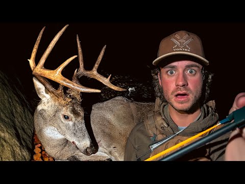 Видео: 4 дня интенсивной охоты с луком на горных оленей!