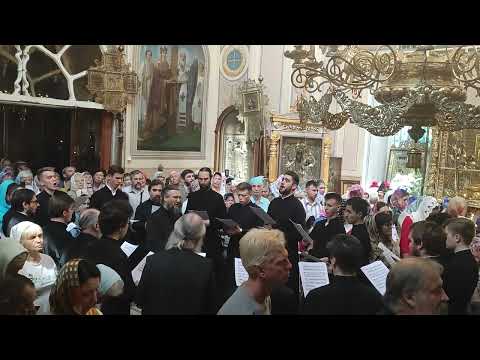 Видео: 5. Тебе поем - Знаменного распева, гарм. архим. Матфея (Мормыля)