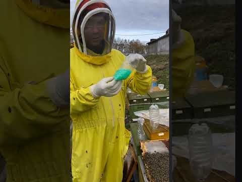 Видео: Нюансы изоляции маток с помощью пластиковой юбки