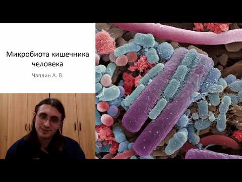 Видео: Микробиота кишечника человека