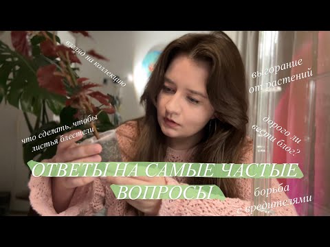 Видео: Блеск листьев | Мои нет в Растениях и уходе || закадровая жизнь Зелёного Блога | В&О