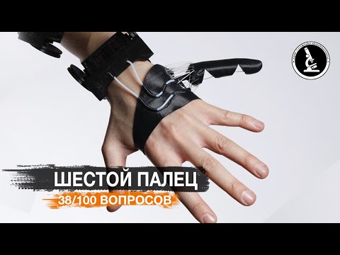 Видео: КАК ЖИТЬ С ШЕСТЫМ ПАЛЬЦЕМ? ПРОТЕЗ ДЛЯ ЗДОРОВЫХ ЛЮДЕЙ