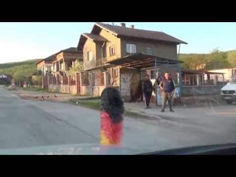 Видео: Archar Арчар Donau 11 Bulgaria 13.4.2016