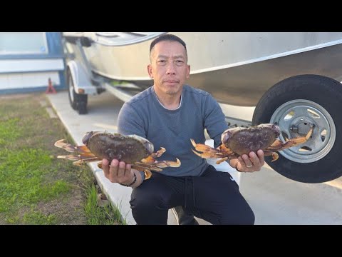 Видео: Открытие крабов в заливе Бодега, 2025 г.