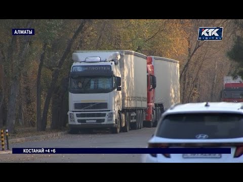 Видео: Дальнобойщики были вынуждены покупать ИБР на чёрном рынке и теперь оказались безработными