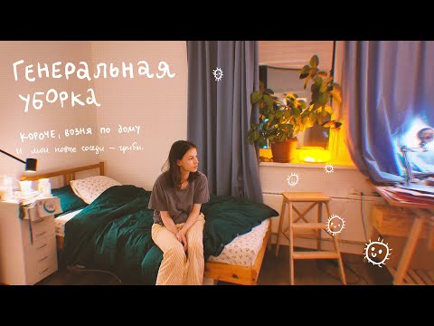 Видео: я в ужасе. нашла плесень... теперь всё убираю с хлором