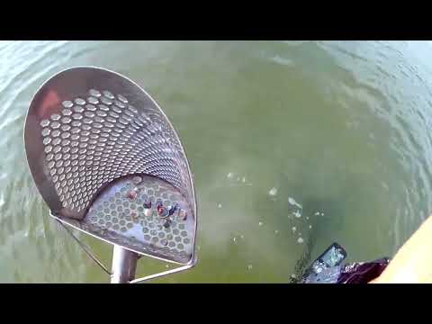 Видео: Сердце замирает когда это в скупе видишь! Пляжный поиск в соленой воде Minelab EQUINOX 800