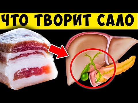 Видео: А что Будет, если Есть Сало Каждый день?