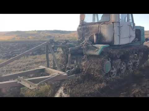 Видео: Трактор т 150 гусеничный в работе