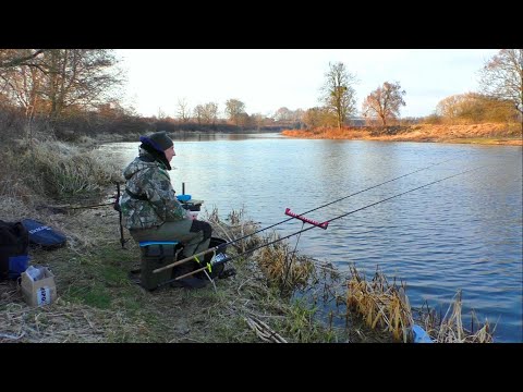 Видео: Глибина 6 м. Чи є тут риба? Пошук нових місць на р. Горинь