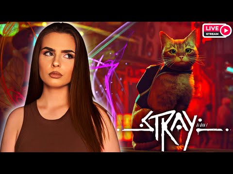 Видео: Киберпанк глазами кота 🐱 | Прохождение Stray | Путешествие по миру без людей