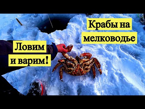 Видео: Крабы на мелководье. Ловим и варим! Подводная съёмка! И серебряная кнопка!