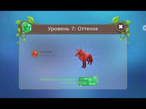 Видео: 28 октября 2025 г.